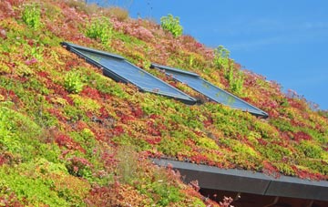 Jack Hayes living roof systems