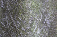 Jack Hayes fibreglass roof work